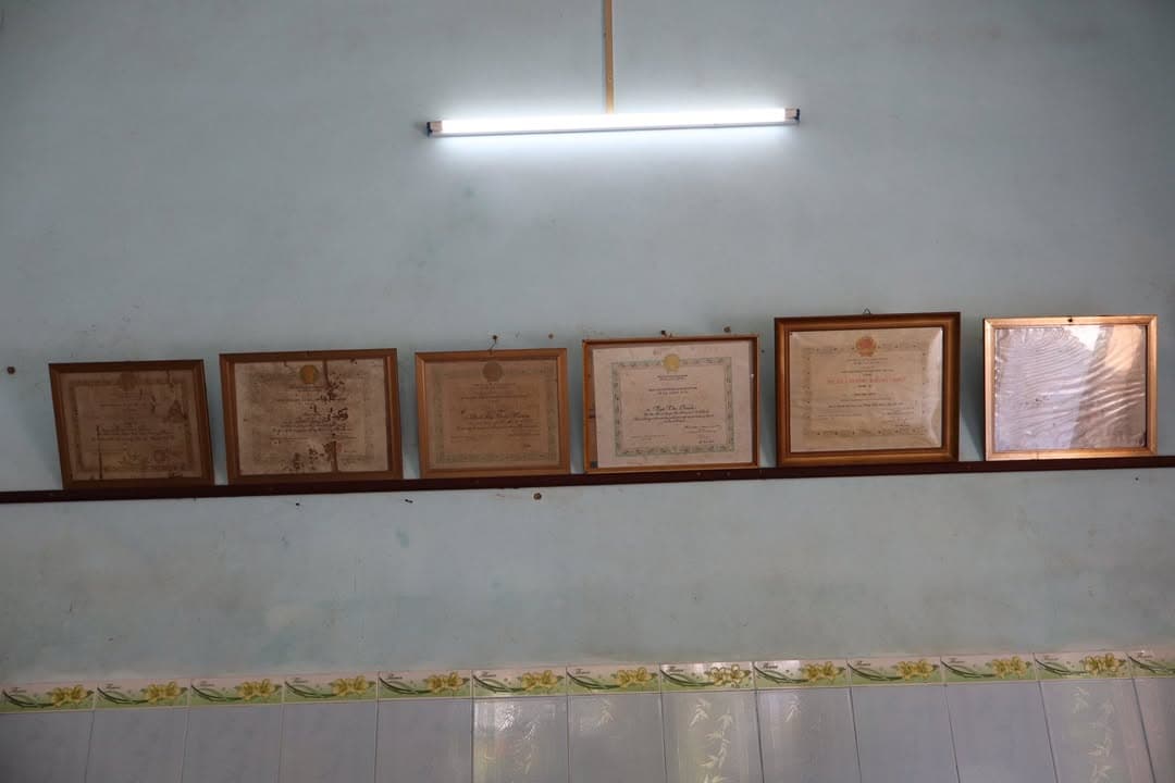 CLB VÕ CỔ TRUYỀN VŨ MINH - HÀNH TRÌNH TRI ÂN VÀ HÀNH ĐỘNG XANH HƯỞNG ỨNG 26/03/2026 — hình 40