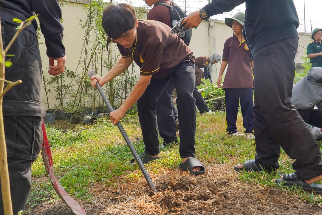 TRỒNG CÂY LẠI NHỚ ĐẾN NGƯỜI — hình 20