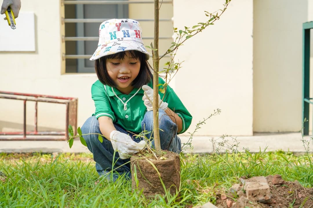 TRỒNG CÂY LẠI NHỚ ĐẾN NGƯỜI — hình 25