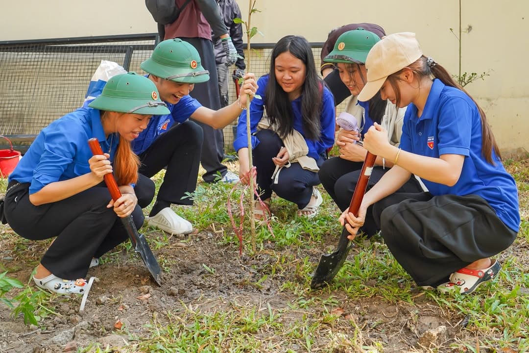TRỒNG CÂY LẠI NHỚ ĐẾN NGƯỜI — hình 29